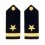 Military shoulder epaulettes